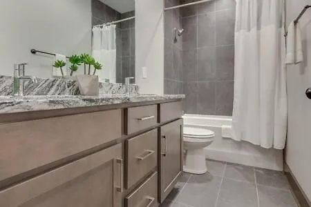 Spacious Luxury Twin Homes, Walk To Everything! Nashville United States